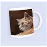 Tech  11oz mug -  Cat (43)