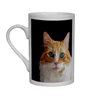 Tech  Bone China Mug -  Cat (22)