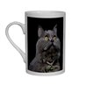 Tech  Bone China Mug -  Cat (37)