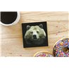 Tech Ceramic Coaster - 10cm  -  Bear(4)