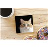 Tech Ceramic Coaster - 10cm  -  Cat (22)