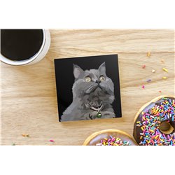 Tech Ceramic Coaster - 10cm  -  Cat (37)