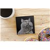Tech Ceramic Coaster - 10cm  -  Cat (37)