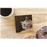 Tech Ceramic Coaster - 10cm  -  Cat (43)