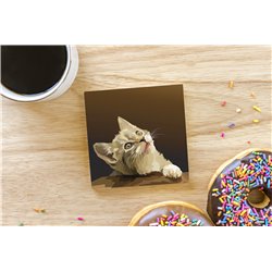 Tech Ceramic Coaster - 10cm  -  Cat (45)