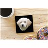 Tech Ceramic Coaster - 10cm  -  Dog (31)
