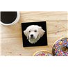 Tech Ceramic Coaster - 10cm  -  Dog (70)