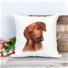 Printed Country Canvas Cushion Cover -  Cush32