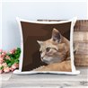 Printed Country Canvas Cushion Cover -  Mcacush 122
