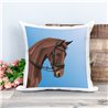 Printed Country Canvas Cushion Cover -  Mcacush 243