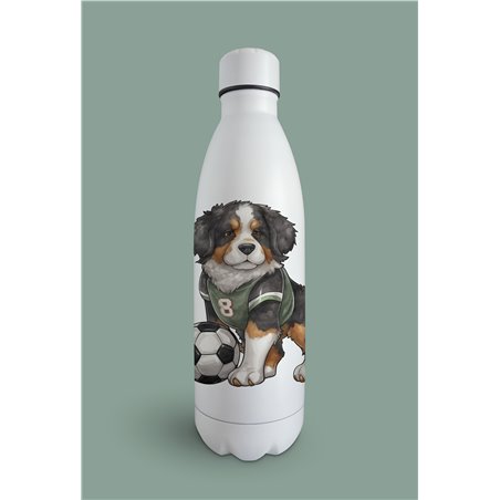 Insulated Bottle  bm-3