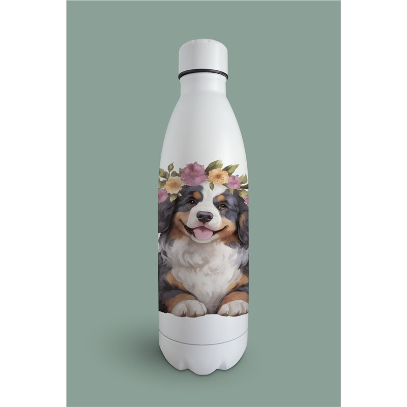 Insulated Bottle  bm-5