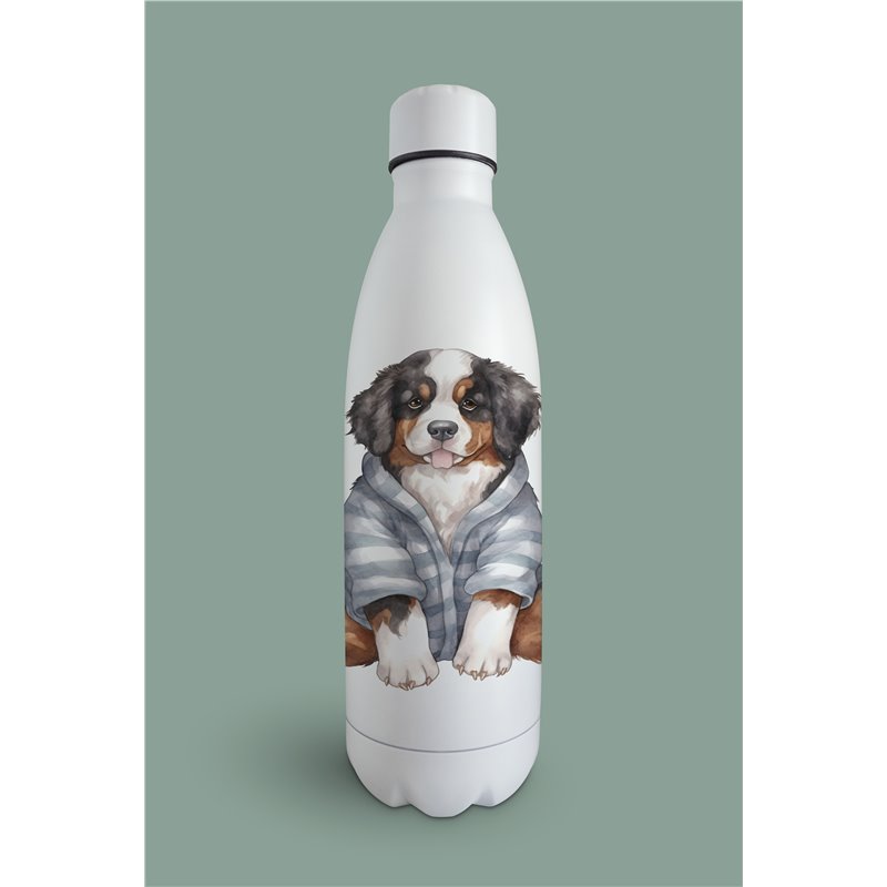 Insulated Bottle  bm-7