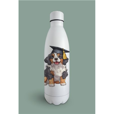 Insulated Bottle  bm-8