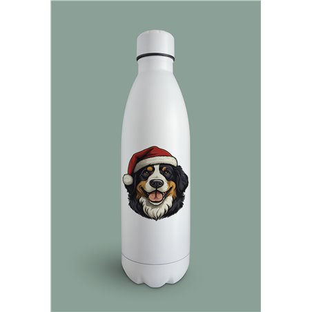 Insulated Bottle  bm-27