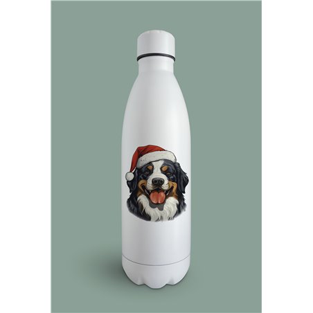 Insulated Bottle  bm-28