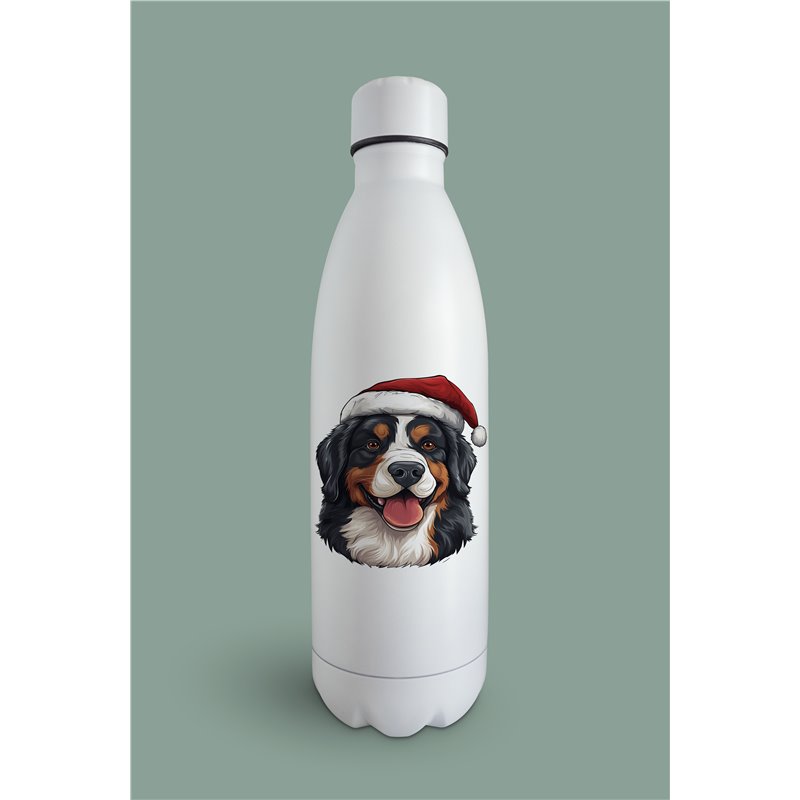 Insulated Bottle  bm-29