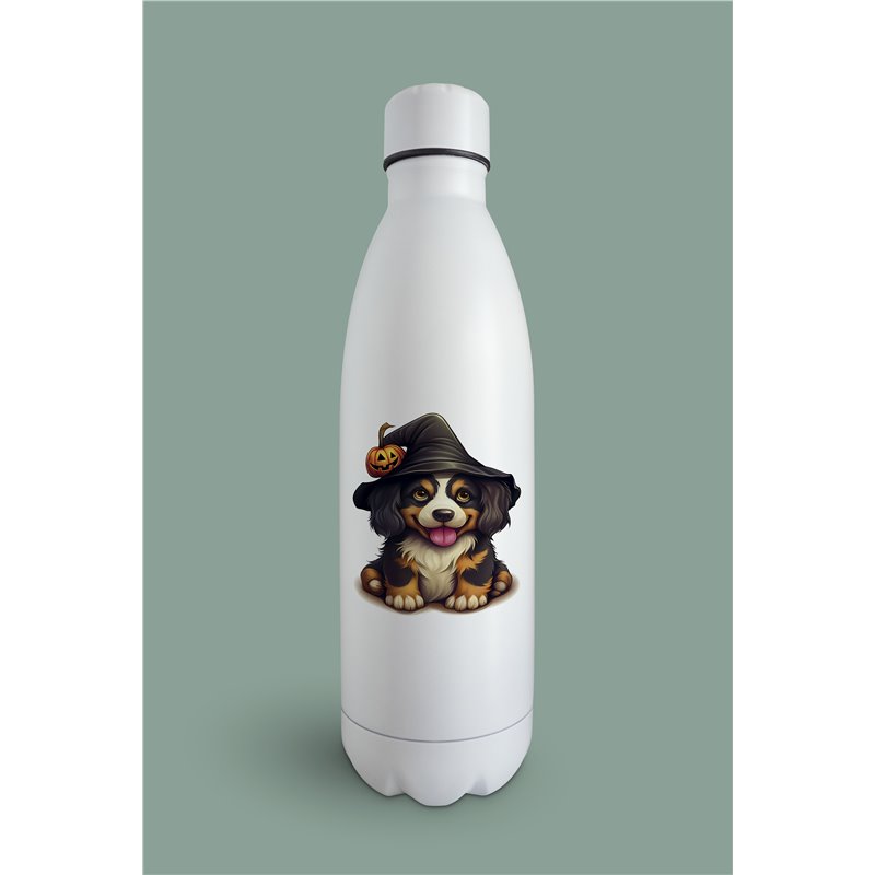 Insulated Bottle  bm-32