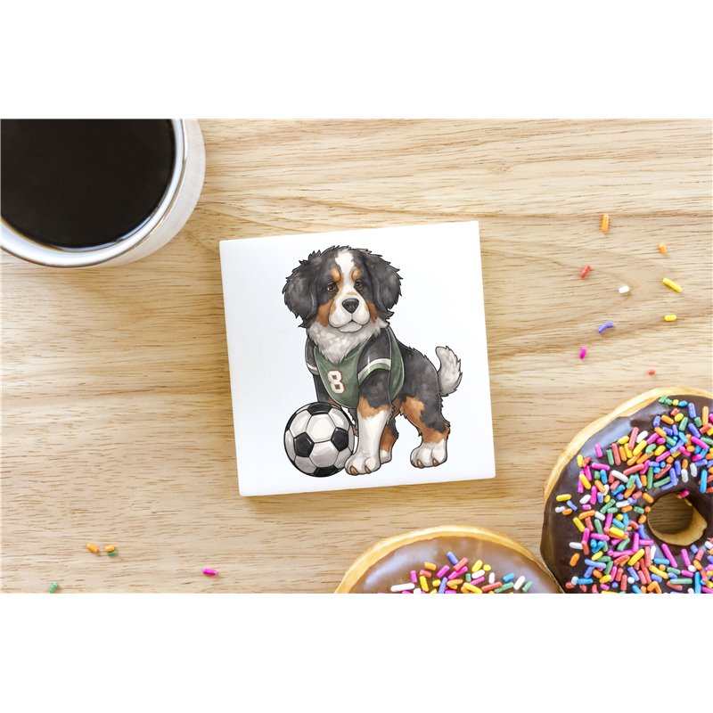 Ceramic Tile Coaster/ Trivet bm-8