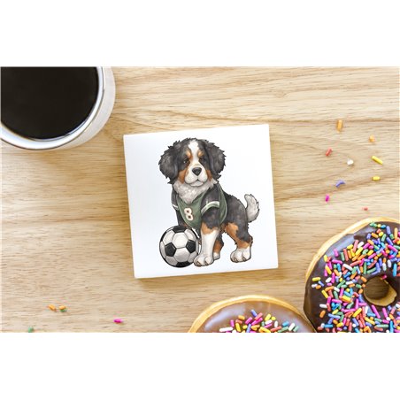 Ceramic Tile Coaster/ Trivet bm-8