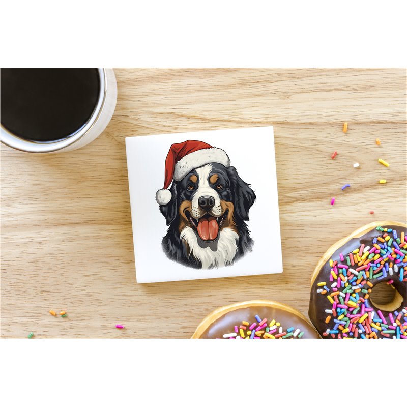 Ceramic Tile Coaster/ Trivet bm-28