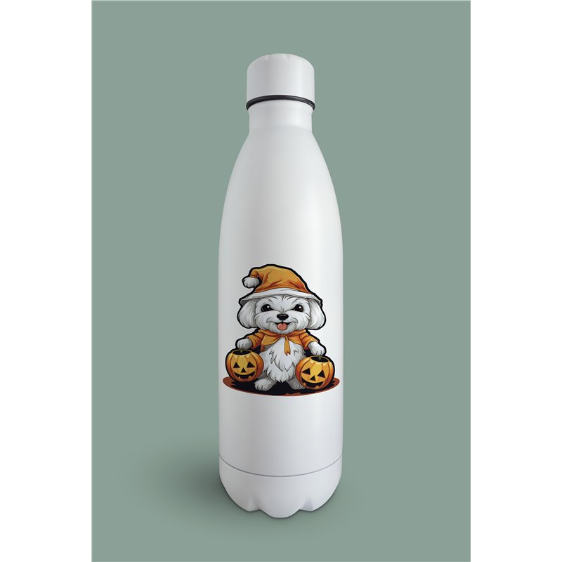 Insulated Bottle  bf2
