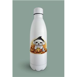 Insulated Bottle  bf3