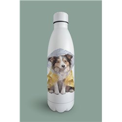 Insulated Bottle -BC 1