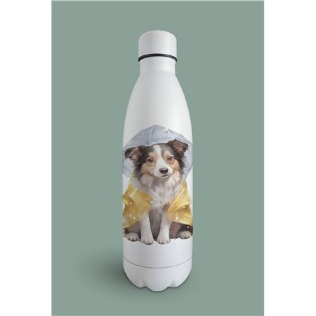 Insulated Bottle -BC 1