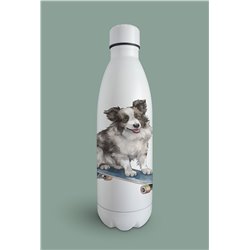 Insulated Bottle -BC 2
