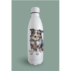 Insulated Bottle -BC 4