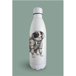 Insulated Bottle -BC 5