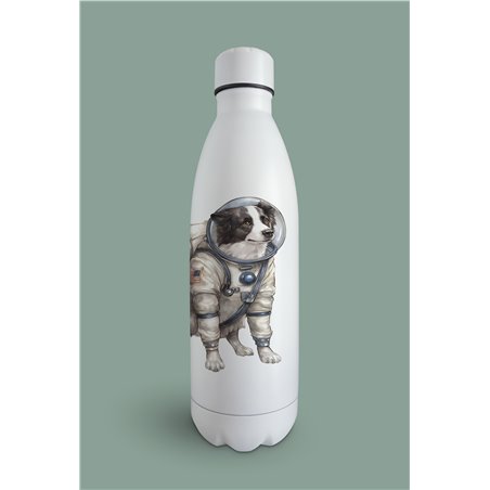Insulated Bottle -BC 5