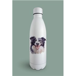 Insulated Bottle -BC 6