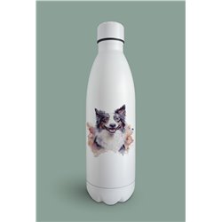 Insulated Bottle -BC 9