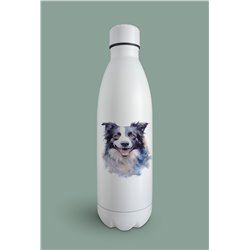 Insulated Bottle -BC 11