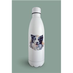 Insulated Bottle -BC 12
