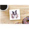 Ceramic Tile Coaster/ Trivet-BC 9