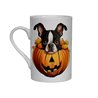 Bone China Mug - BT43