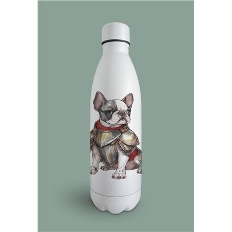Insulated Bottle  - BT4
