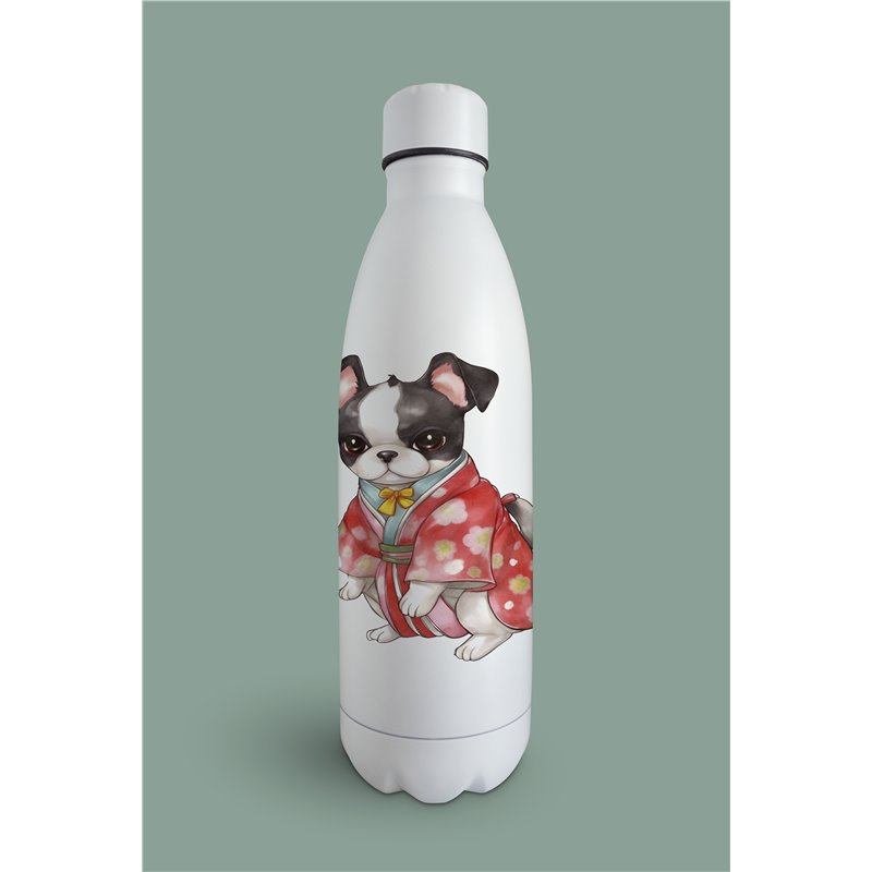 Insulated Bottle  - BT5