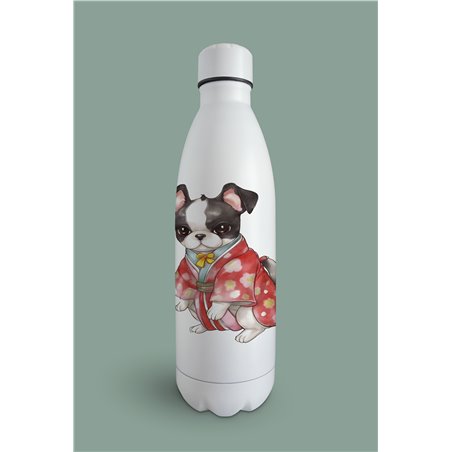 Insulated Bottle  - BT5