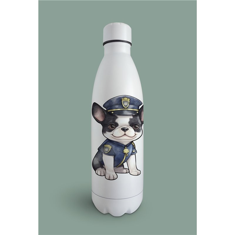 Insulated Bottle  - BT6