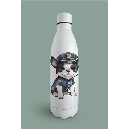 Insulated Bottle  - BT6