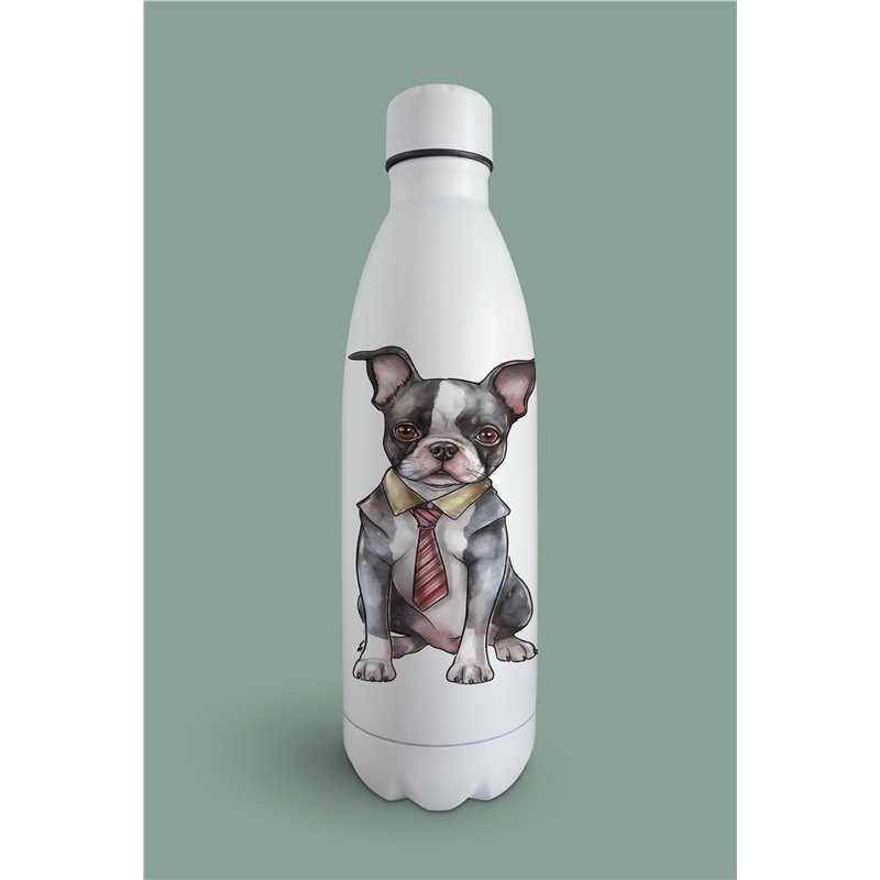Insulated Bottle  - BT9
