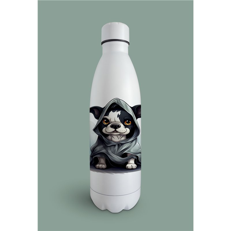 Insulated Bottle  - BT26