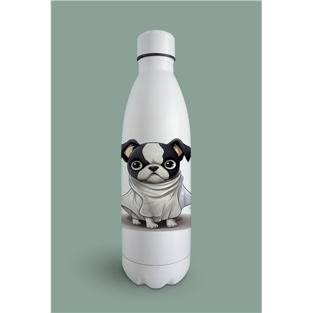 Insulated Bottle  - BT28