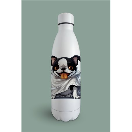 Insulated Bottle  - BT29