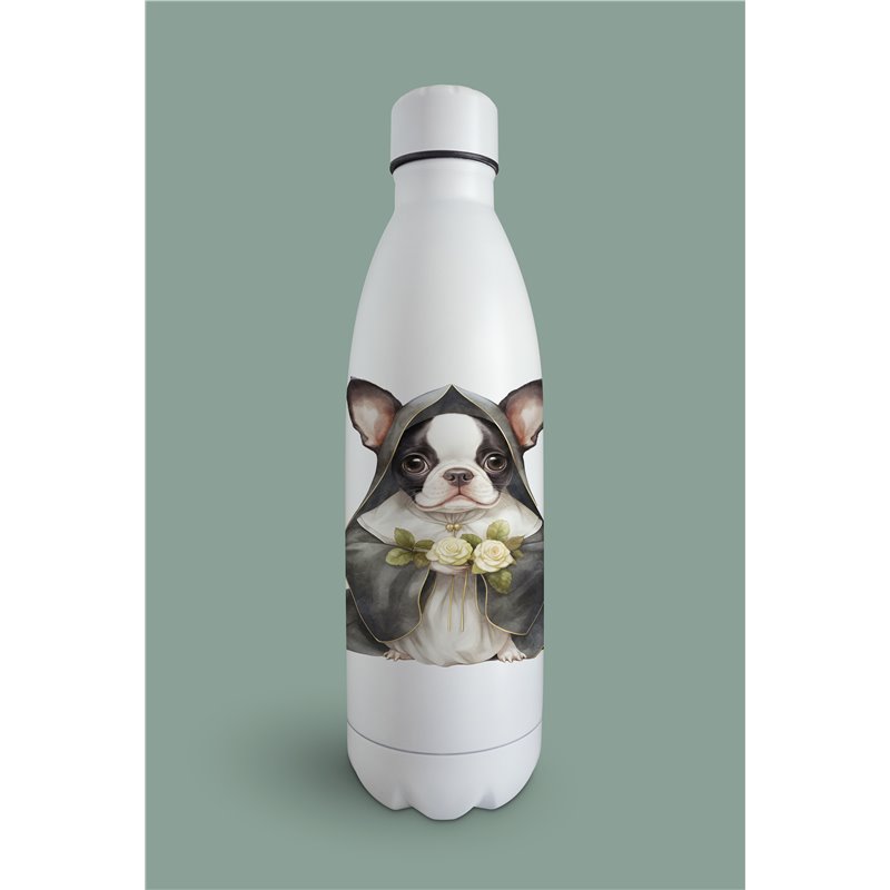Insulated Bottle  - BT30