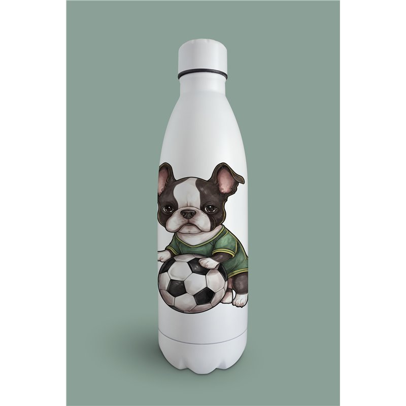 Insulated Bottle  - BT31